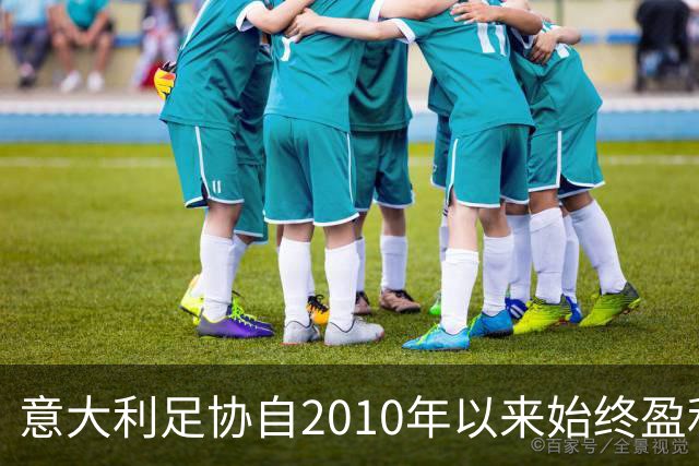 意大利足协自2010年以来始终盈利，16年累计利润7340万欧元